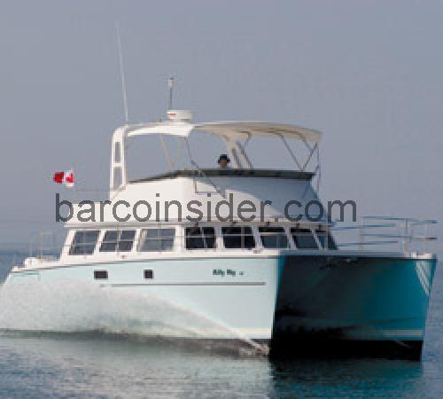 PDQ 41 ficha tecnica 